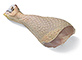 Chicken Drumstick